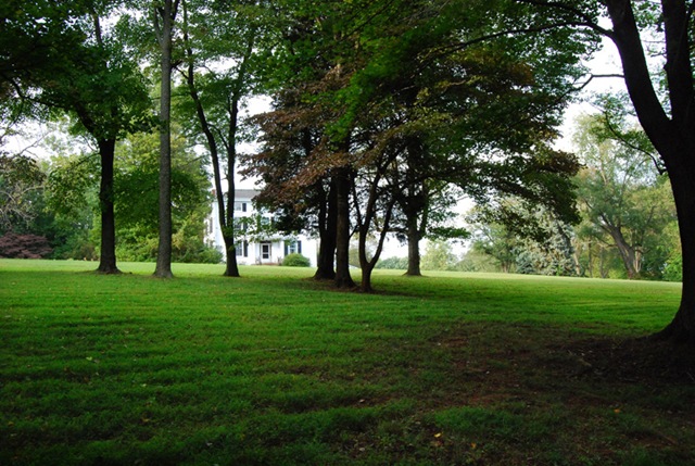 [DSC_0612 copy 2[4].jpg]